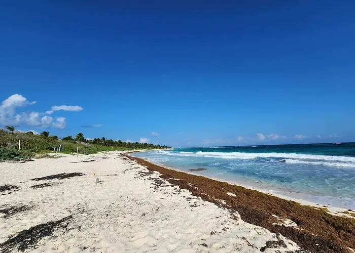 Apartment With Private Pool Tulum
