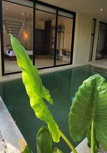With Private Pool Tulum Apartment *