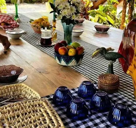 With Private Pool Tulum Apartment *